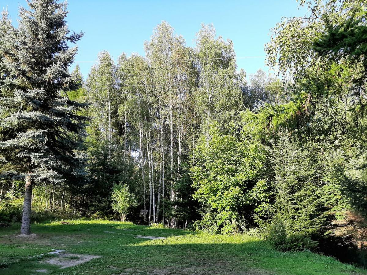 Willa Wadowicka Wadowice Eksteriør bilde